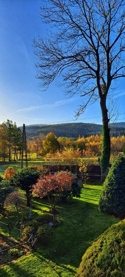 Dom Na Przedgorzu Appartement Świeradów-Zdrój Buitenkant foto